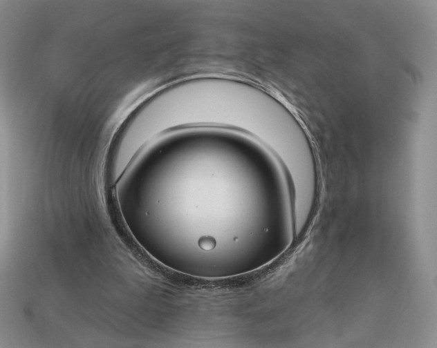 X0000112760199200909101537