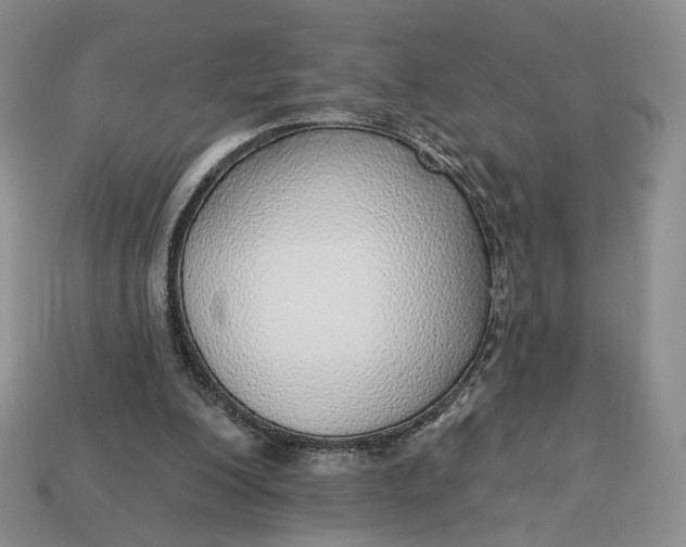 X0000112760200200909101537