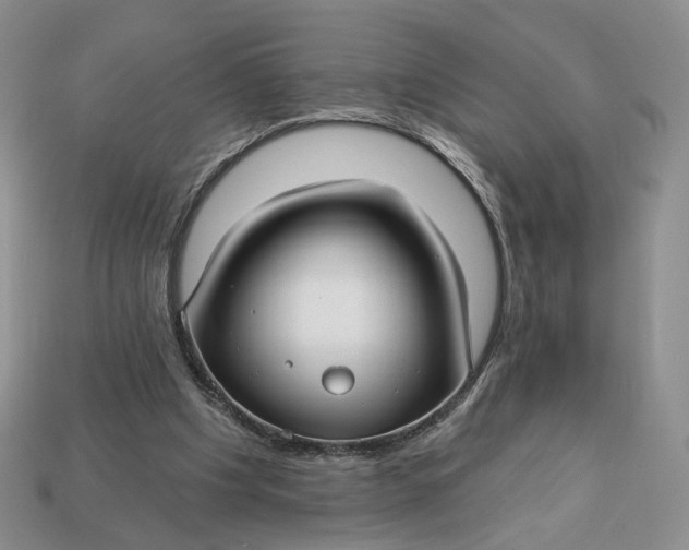 X0000112760201200909101537