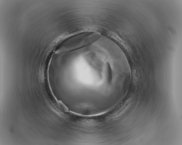 X0000112760203200909101537
