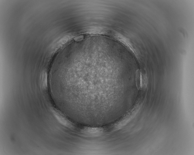 X0000112760205200909101537