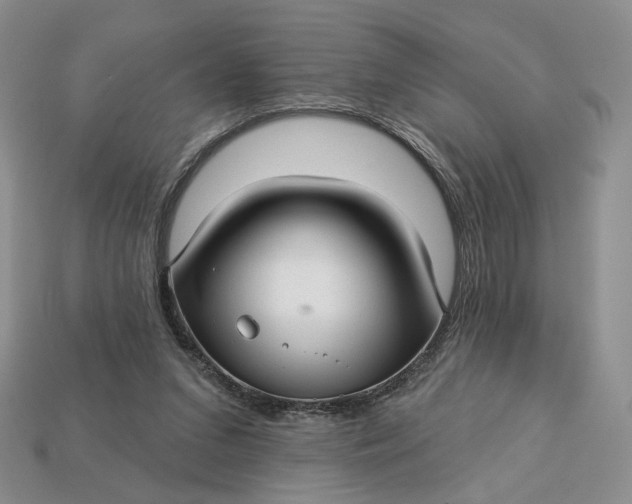 X0000112760207200909101537