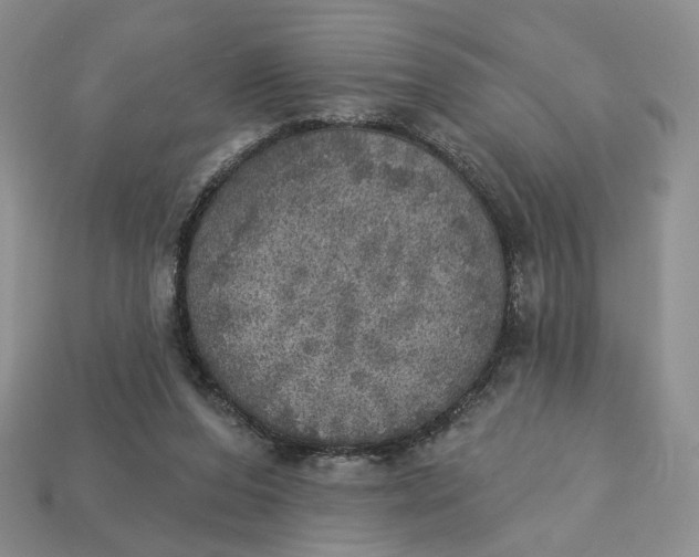 X0000112760208200909101537