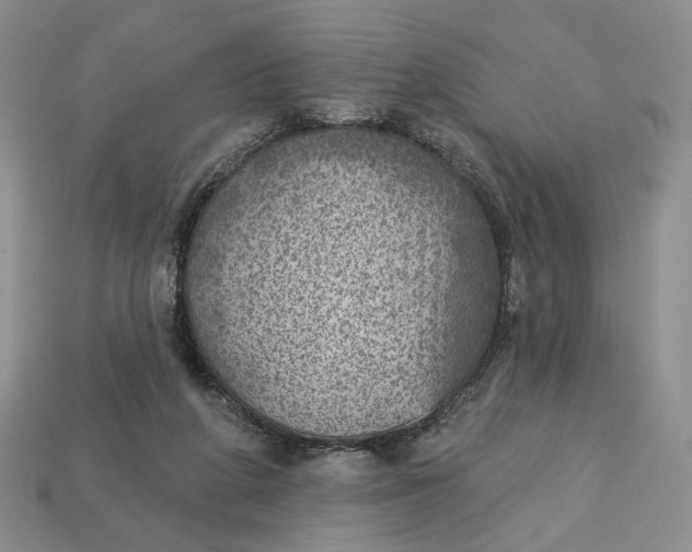 X0000112760210200909101537