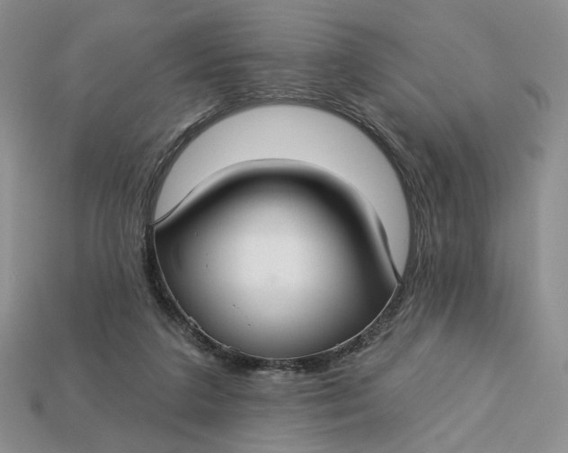 X0000112760211200909101537