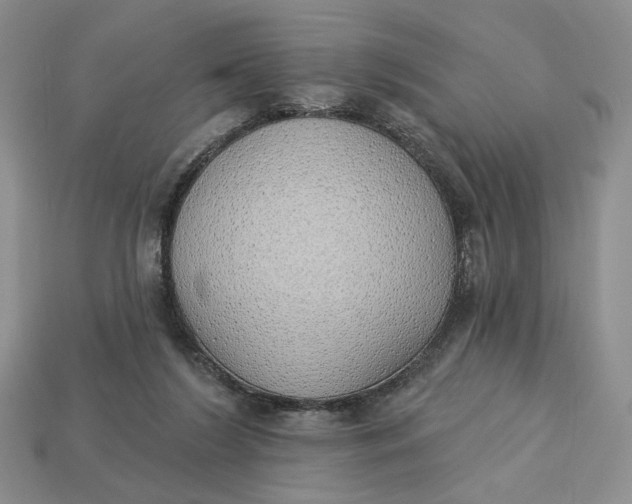 X0000112760212200909101537