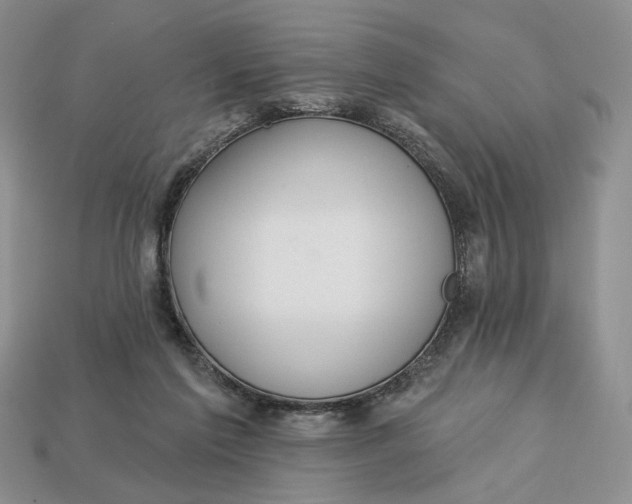 X0000112760213200909101537