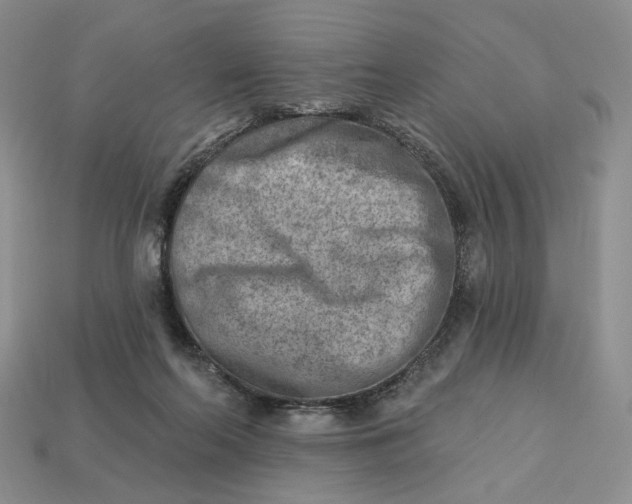X0000112760214200909101537