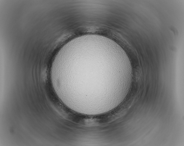 X0000112760216200909101537