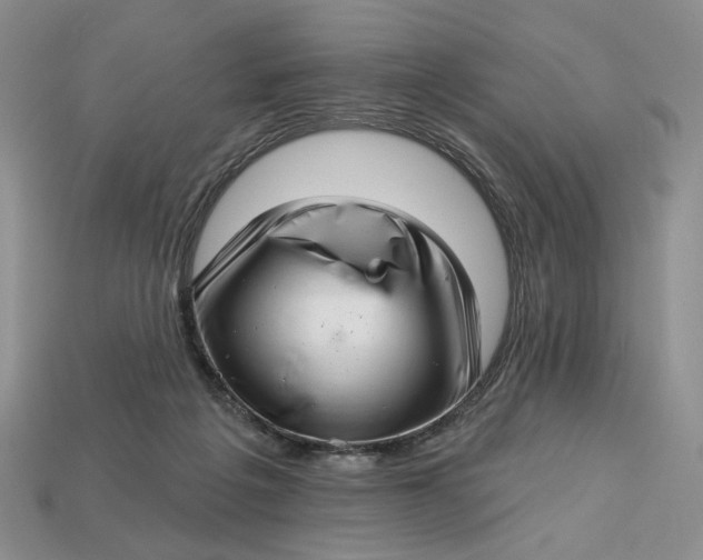 X0000112760217200909101537