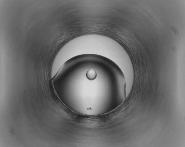 X0000112760219200909101537