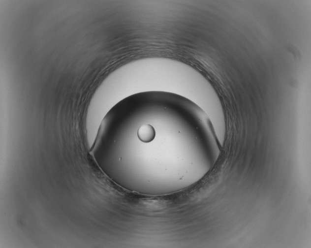 X0000112760221200909101537
