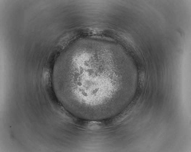 X0000112760222200909101537