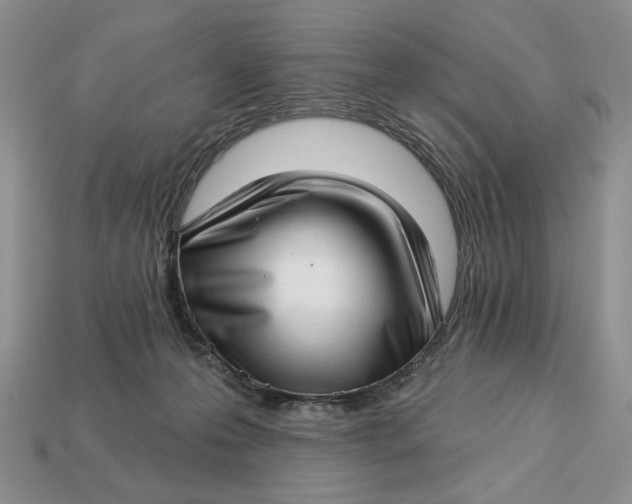 X0000112760223200909101537