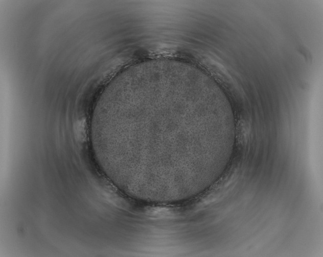 X0000112760224200909101536