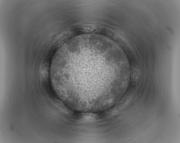 X0000112760226200909101536