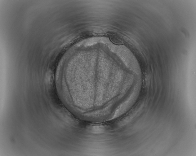 X0000112760228200909101536