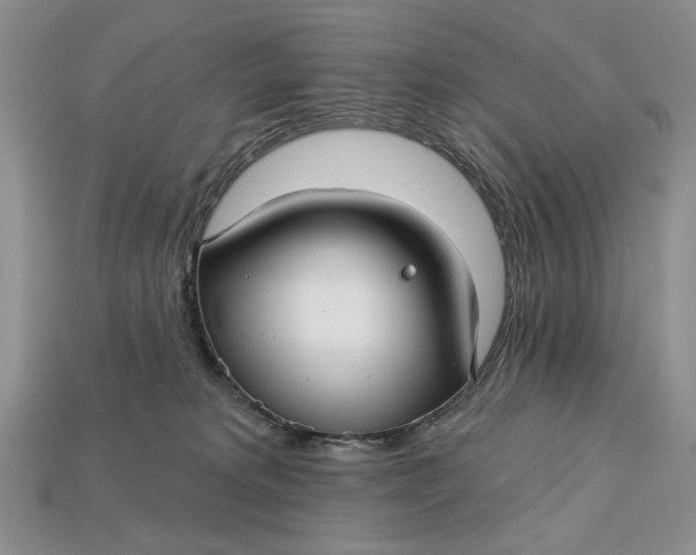 X0000112760229200909101536