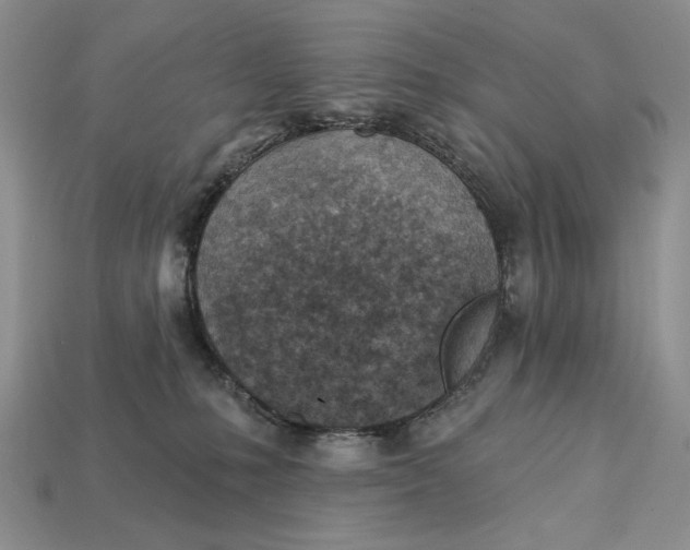 X0000112760231200909101536
