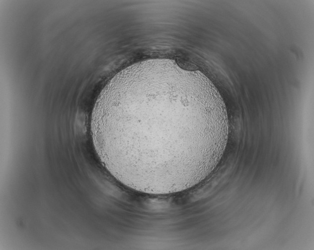 X0000112760232200909101536