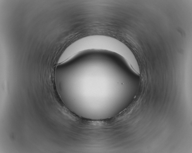X0000112760233200909101536