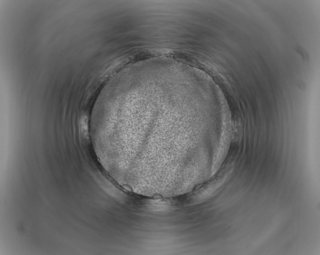 X0000112760238200909101536