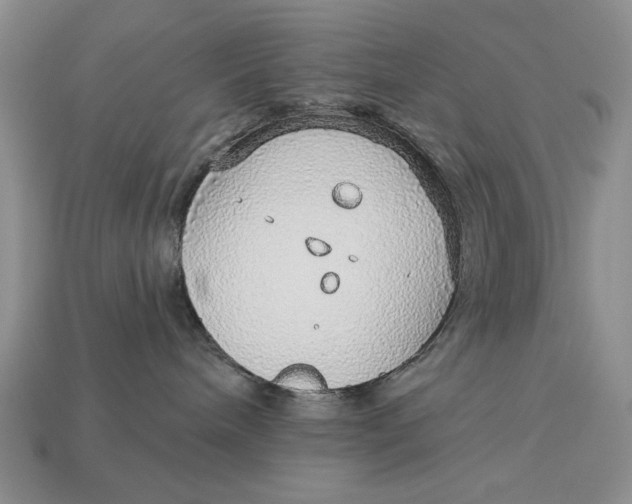 X0000112760240200909101536