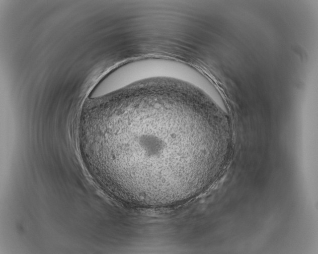 X0000112760241200909101536