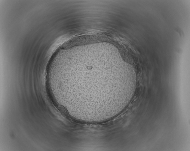 X0000112760242200909101536