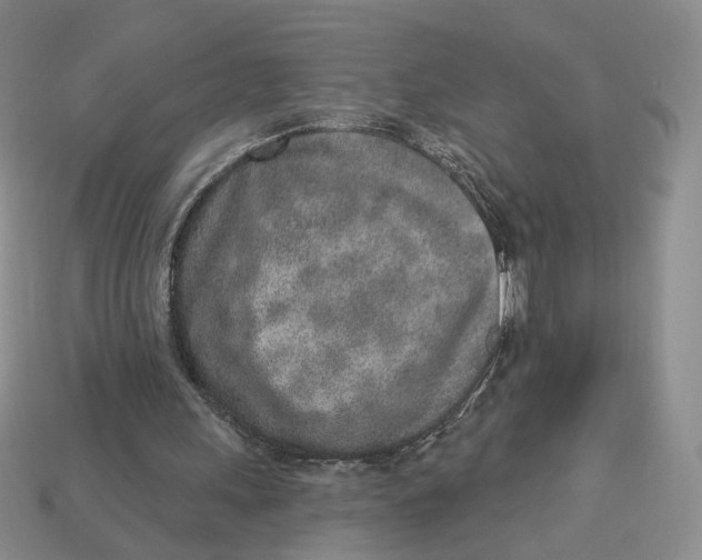 X0000112760243200909101536