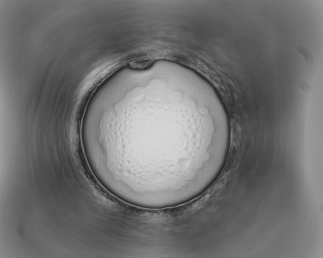 X0000112760245200909101536
