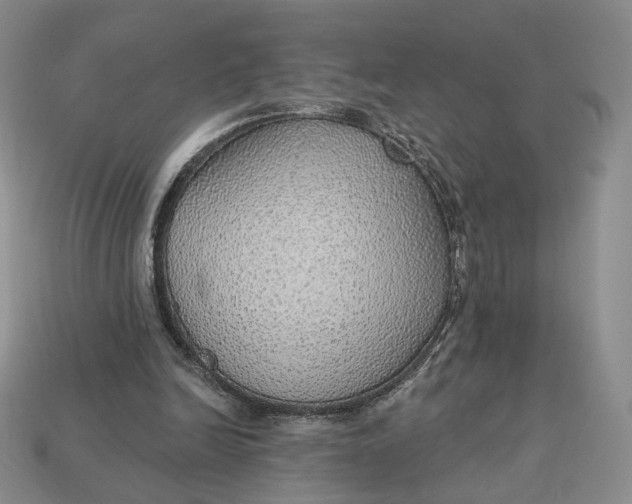 X0000112760246200909101536