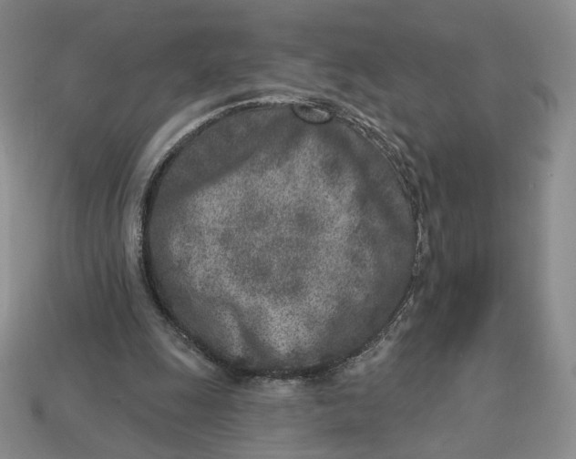 X0000112760247200909101536