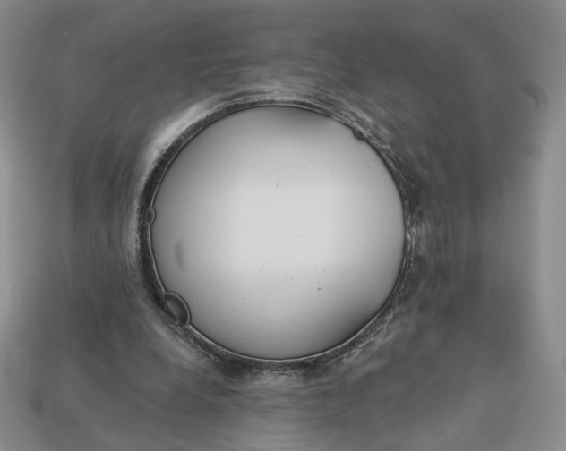 X0000112760248200909101536