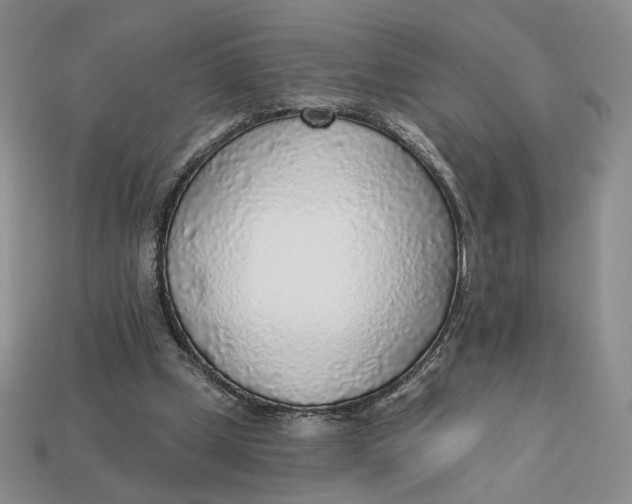 X0000112760249200909101536