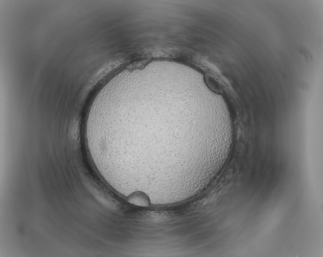 X0000112760250200909101536