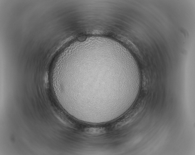 X0000112760251200909101536