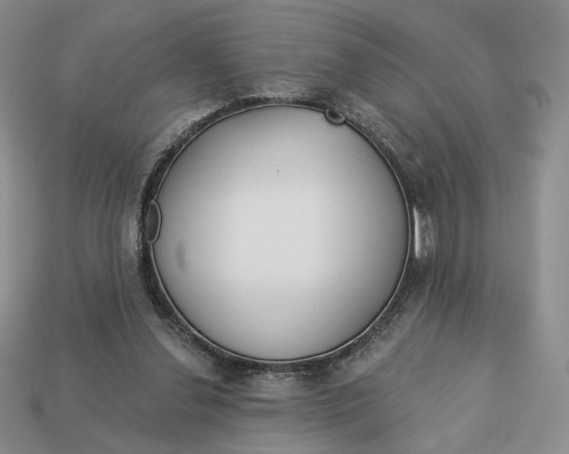 X0000112760252200909101536