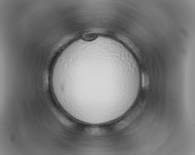 X0000112760253200909101536