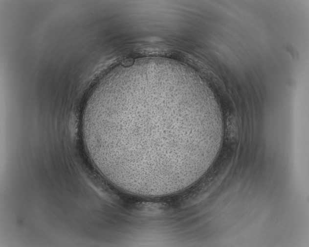 X0000112760255200909101536