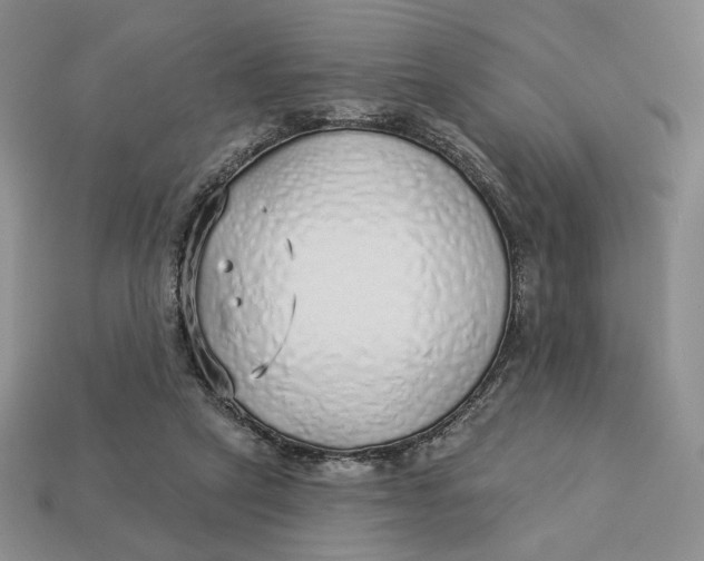 X0000112760257200909101536
