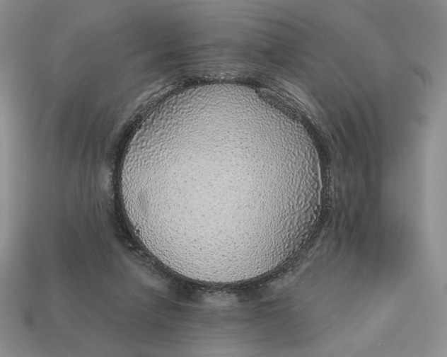 X0000112760258200909101536