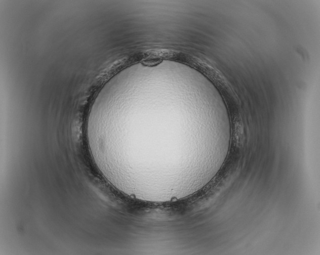 X0000112760259200909101536