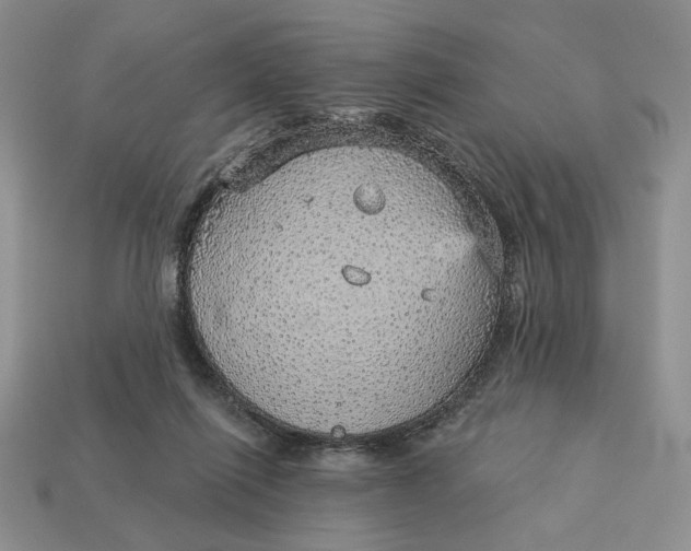 X0000112760262200909101536