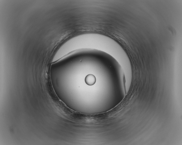 X0000112760264200909101536