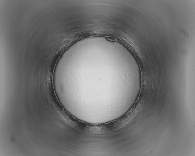 X0000112760265200909101536