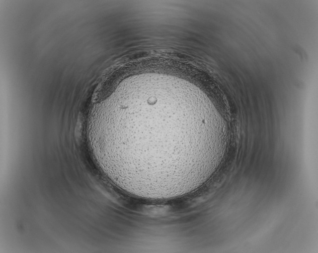 X0000112760266200909101536