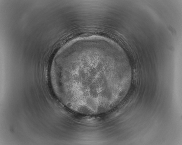 X0000112760267200909101536