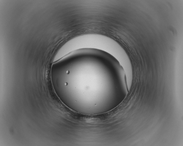 X0000112760268200909101536