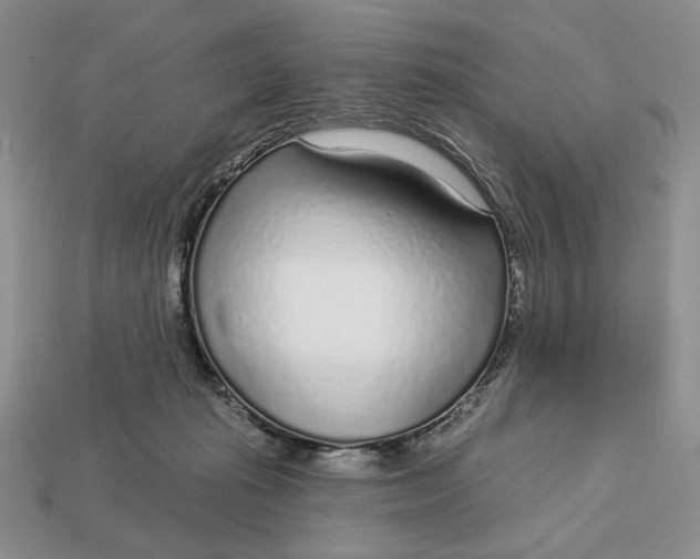 X0000112760269200909101536